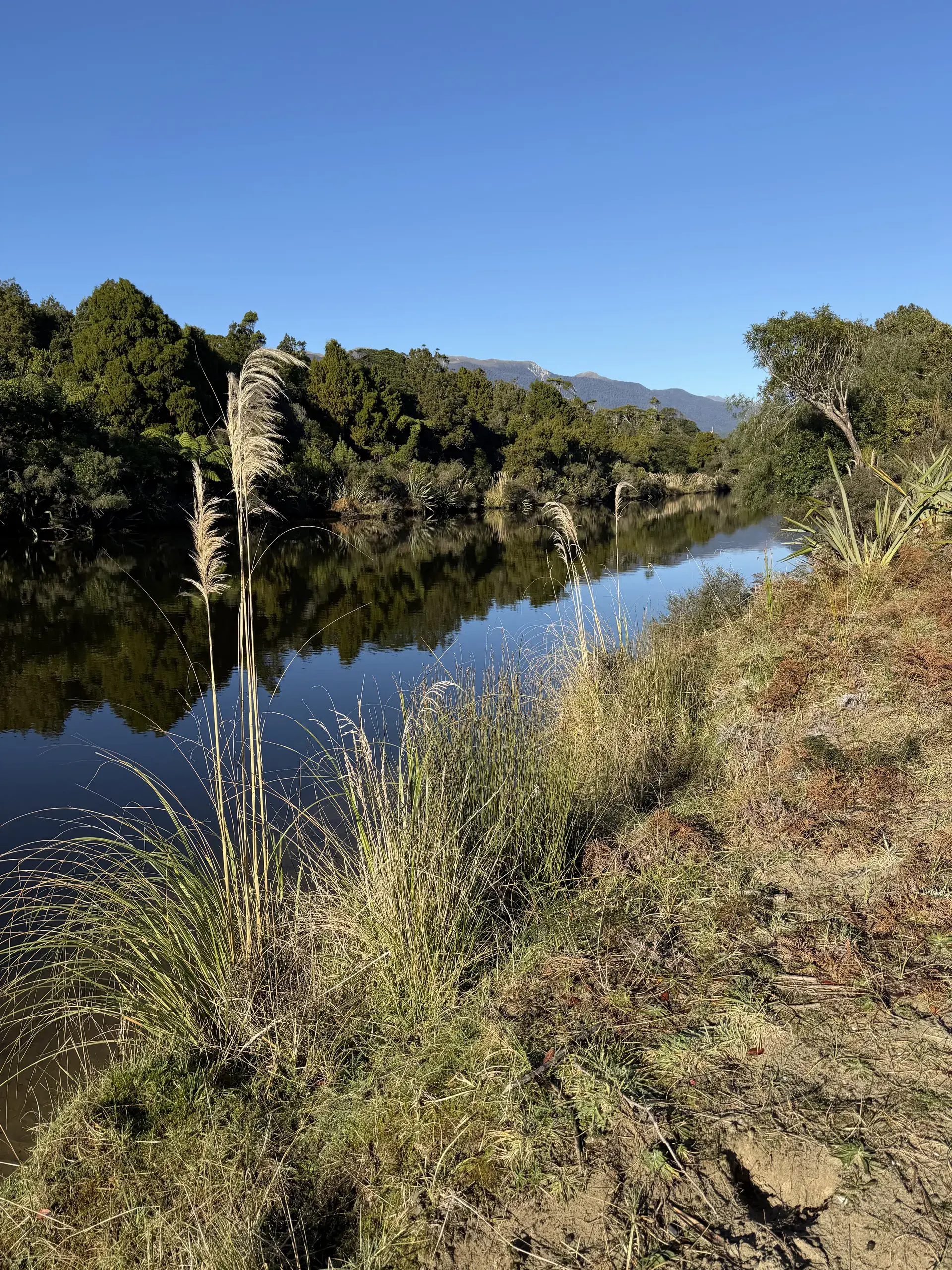 The Wanaka Area